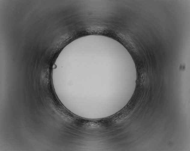 X0000090410498200708031046