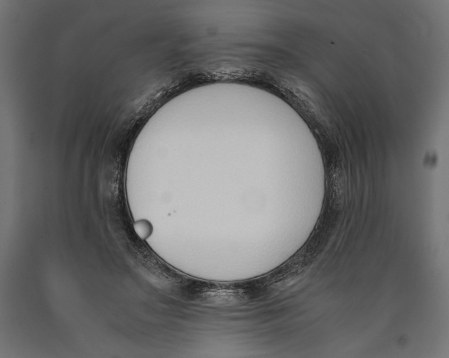 X0000090410499200708031046