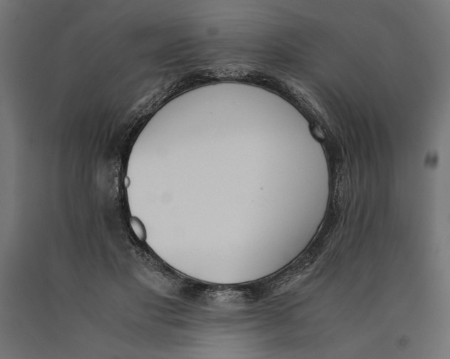 X0000090410501200708031046