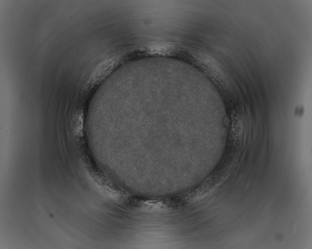 X0000090410502200708031045