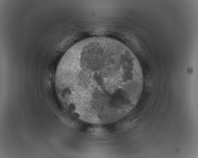 X0000090410503200708031045