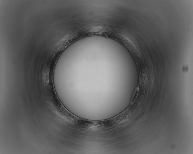 X0000090410504200708031045