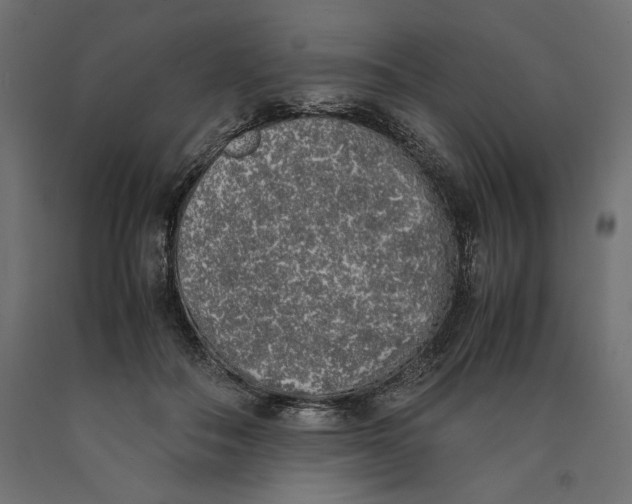X0000090410506200708031045