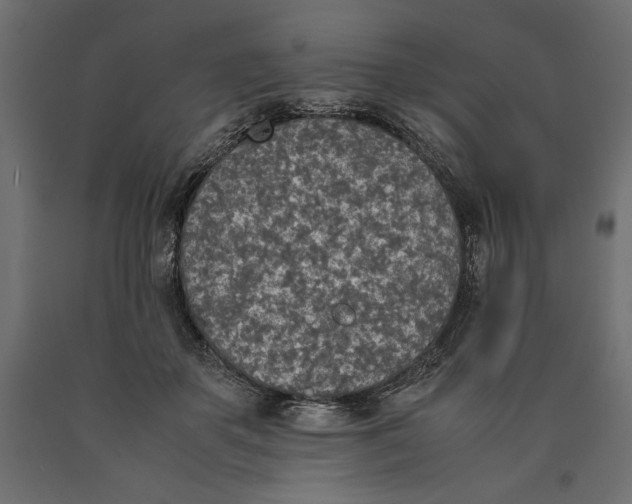X0000090410507200708031045