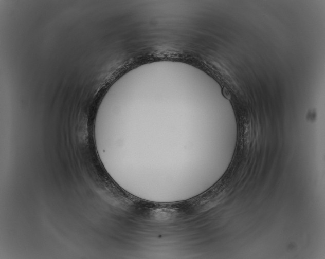 X0000090410508200708031045