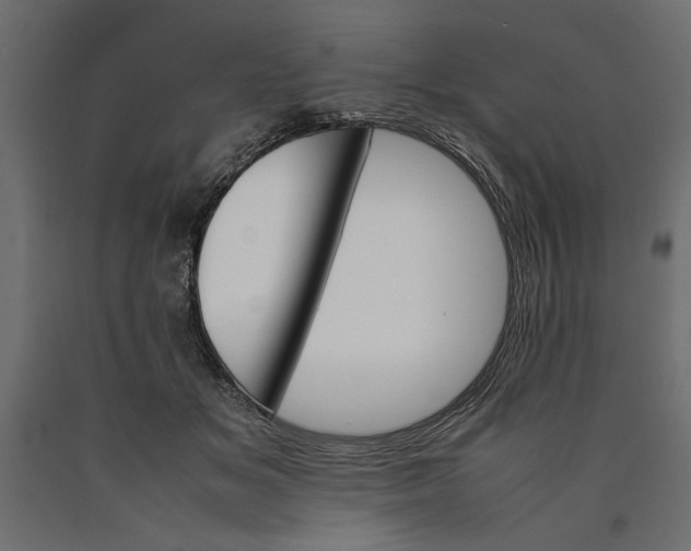X0000090410509200708031045