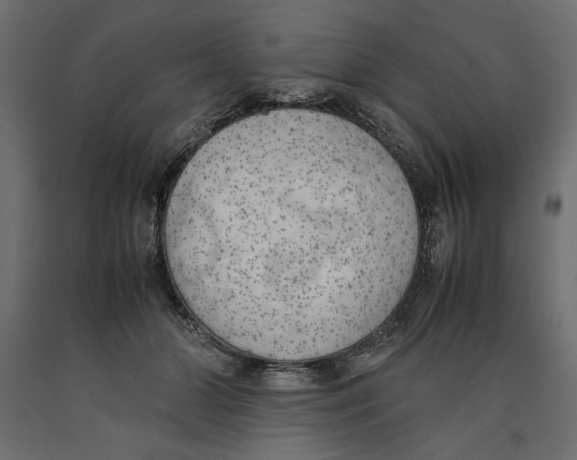X0000090410510200708031045