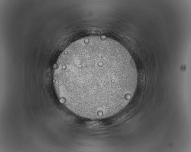 X0000090410511200708031045