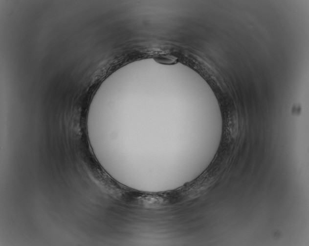 X0000090410512200708031045