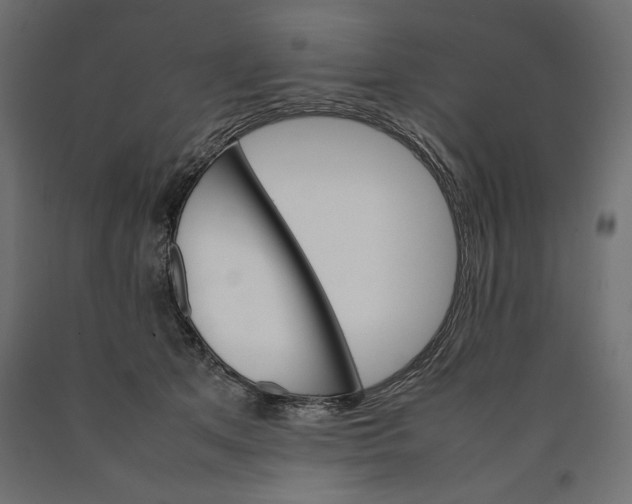 X0000090410513200708031045