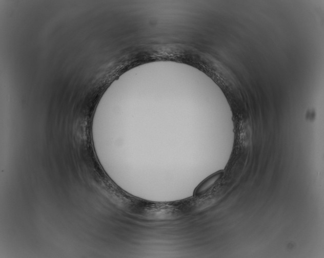 X0000090410514200708031045