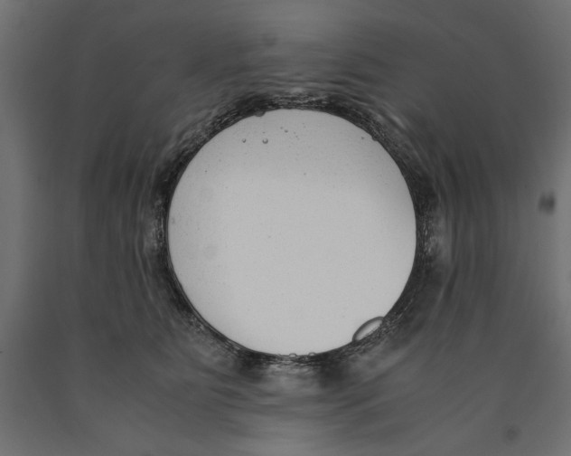 X0000090410515200708031045