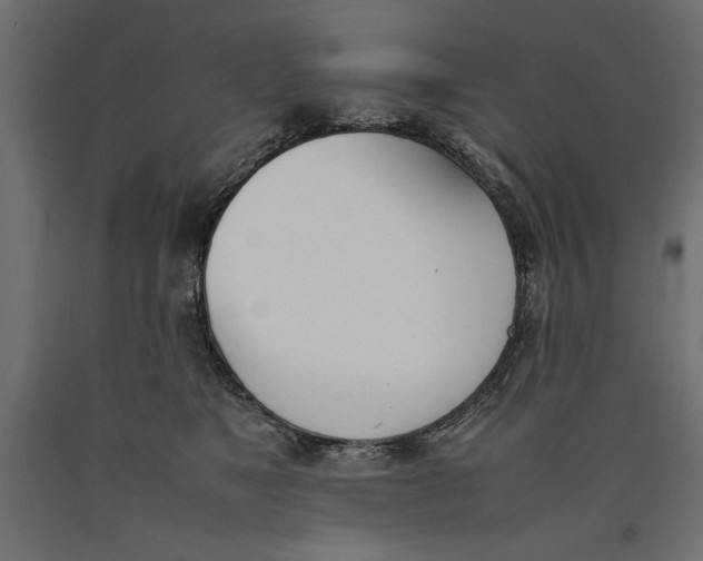 X0000090410517200708031045