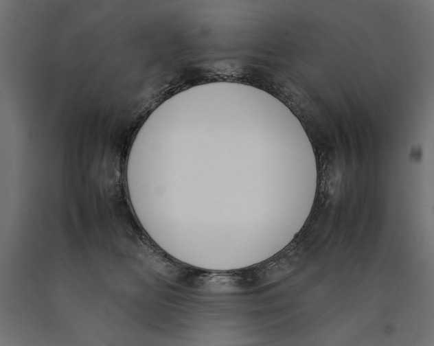 X0000090410518200708031045
