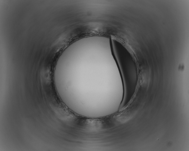 X0000090410520200708031045