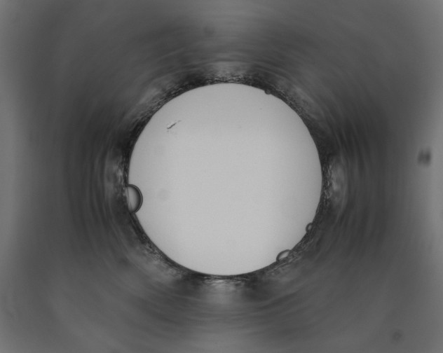 X0000090410522200708031045