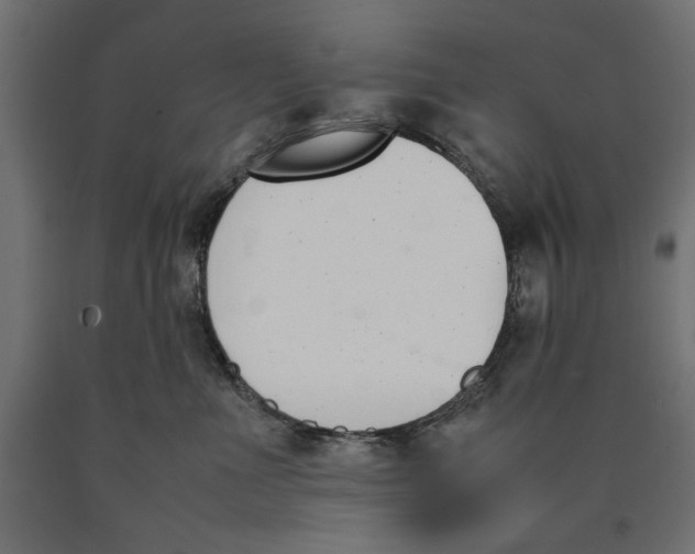 X0000090410523200708031045