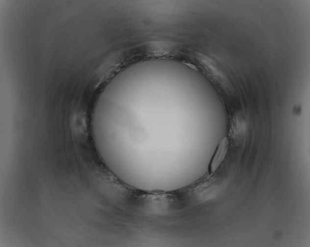 X0000090410524200708031045