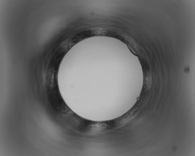 X0000090410525200708031045