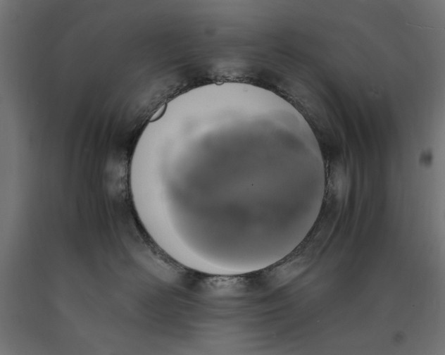 X0000090410526200708031045