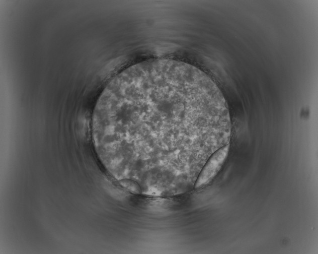 X0000090410527200708031045