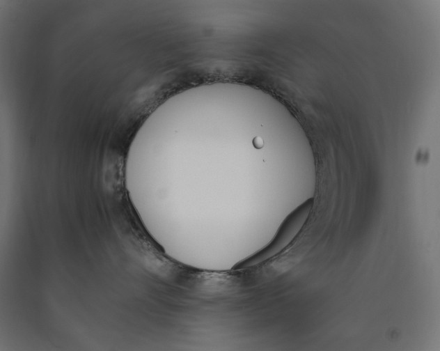 X0000090410528200708031045