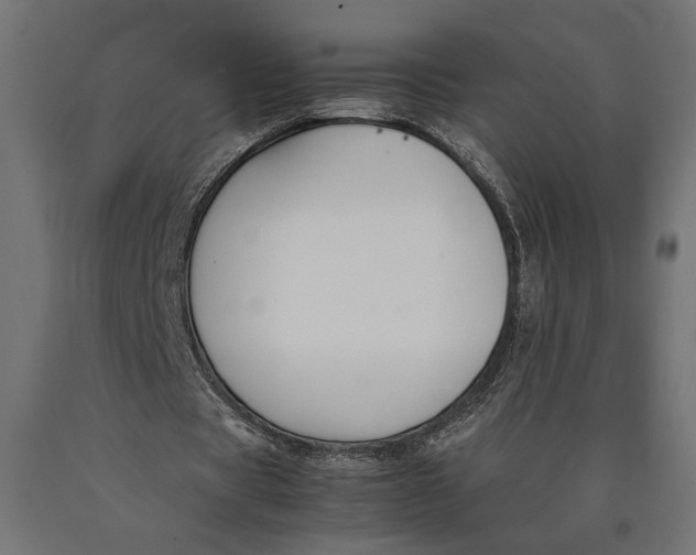 X0000090410529200708031044