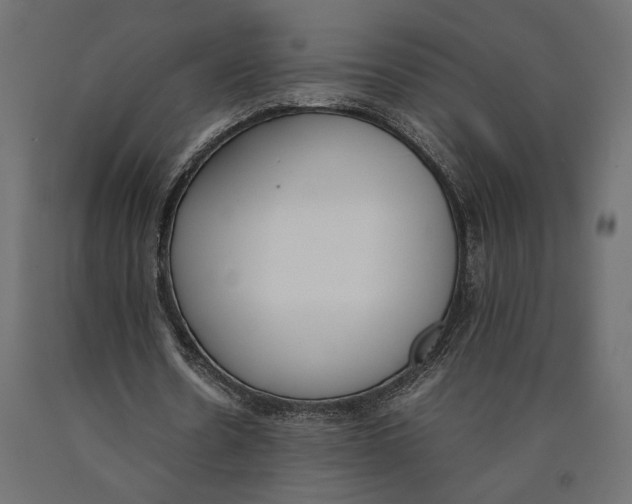 X0000090410530200708031044