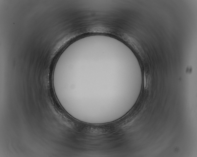 X0000090410531200708031044