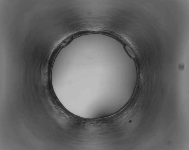 X0000090410532200708031044