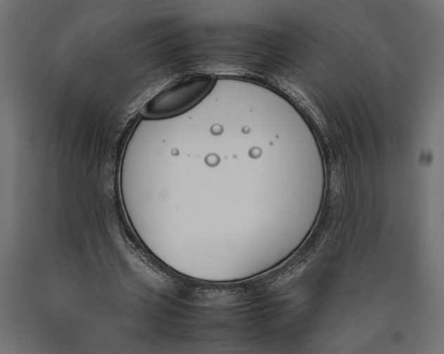 X0000090410533200708031044