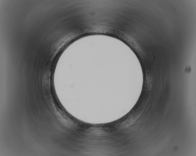 X0000090410534200708031044