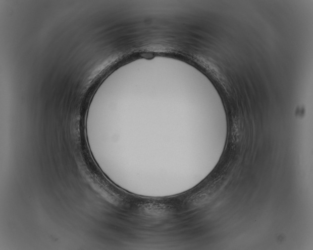 X0000090410535200708031044
