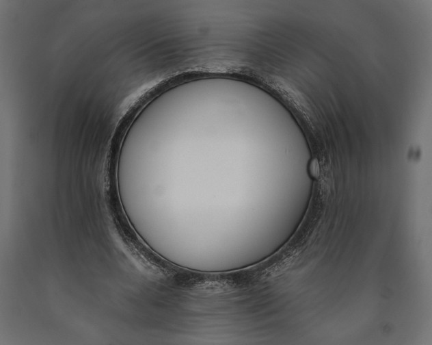 X0000090410536200708031044