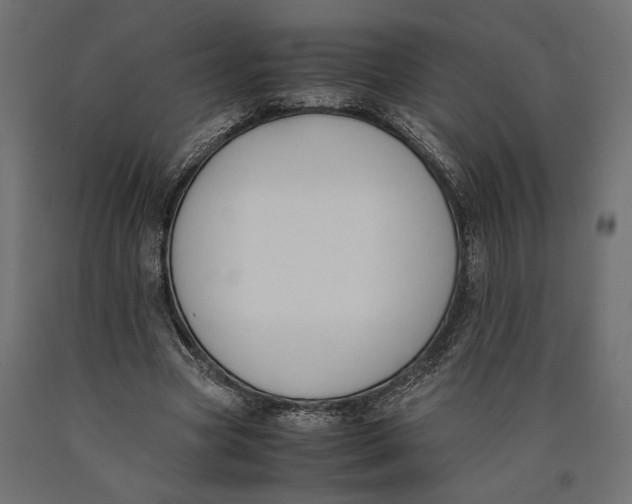 X0000090410537200708031044