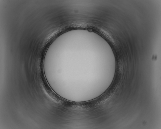 X0000090410538200708031044