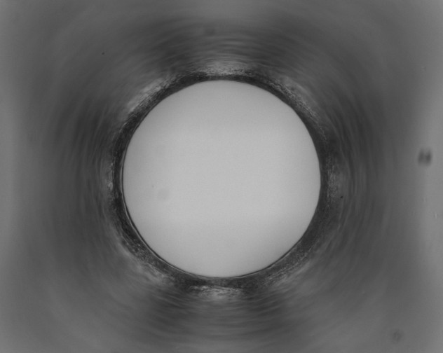 X0000090410539200708031044