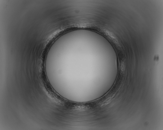 X0000090410540200708031044