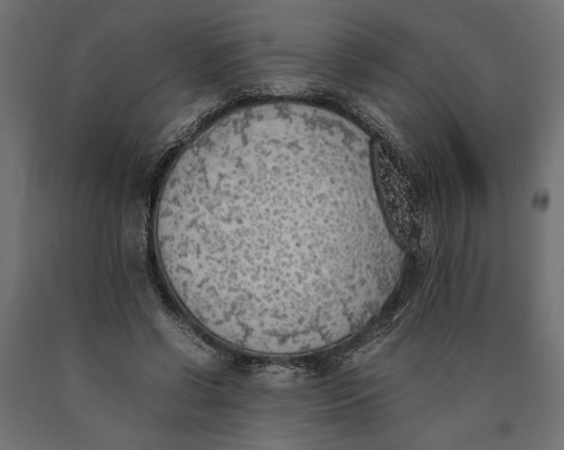 X0000090410542200708031044