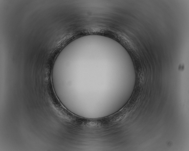 X0000090410546200708031045