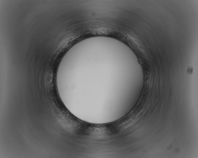 X0000090410548200708031045