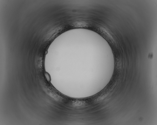 X0000090410549200708031045