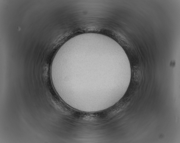 X0000090410550200708031045