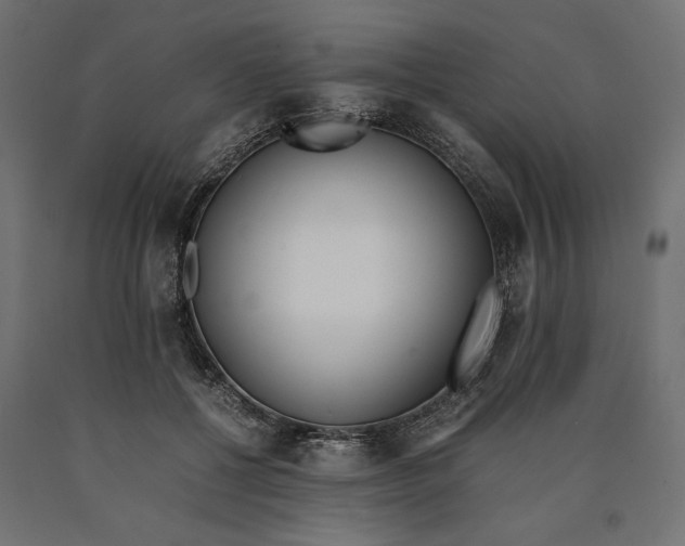 X0000090410552200708031045