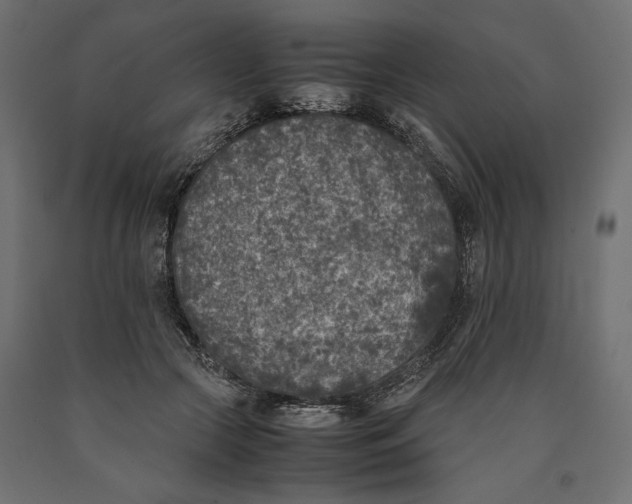 X0000090410553200708031045