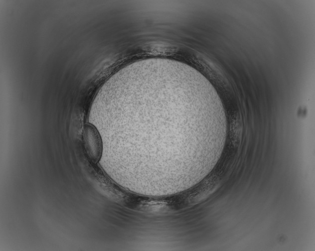 X0000090410554200708031045
