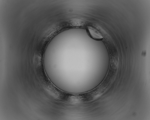 X0000090410556200708031045