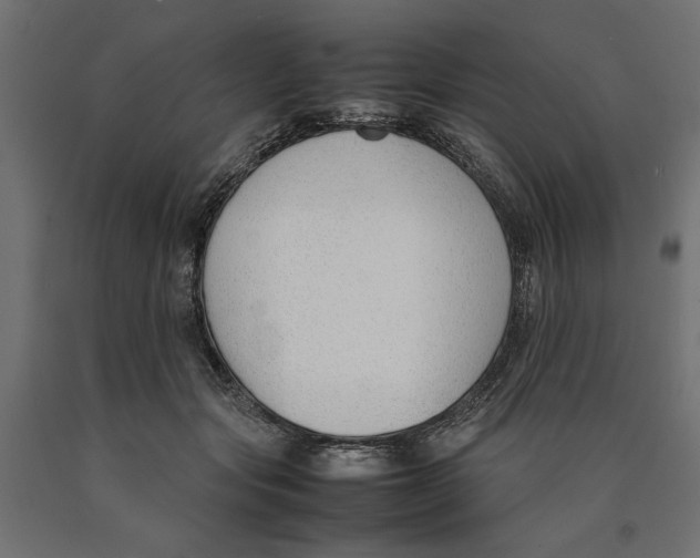 X0000090410557200708031045