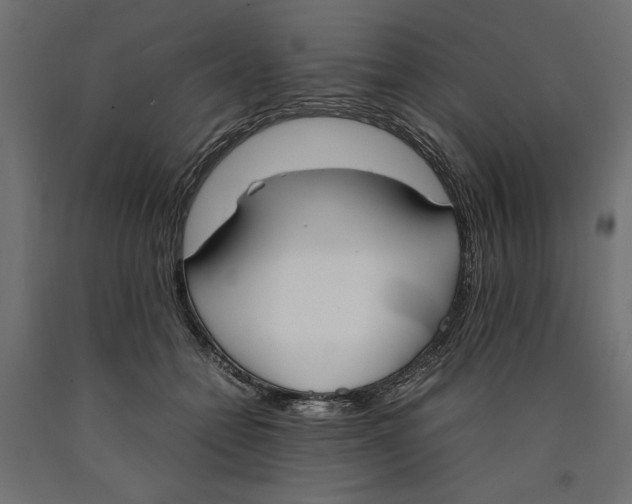 X0000090410558200708031045