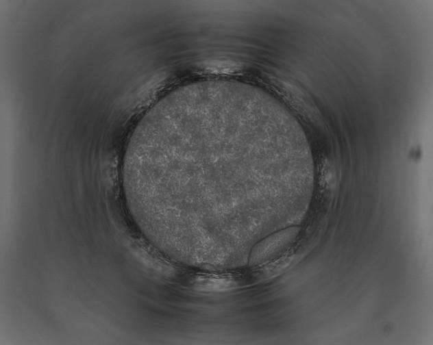 X0000090410559200708031045